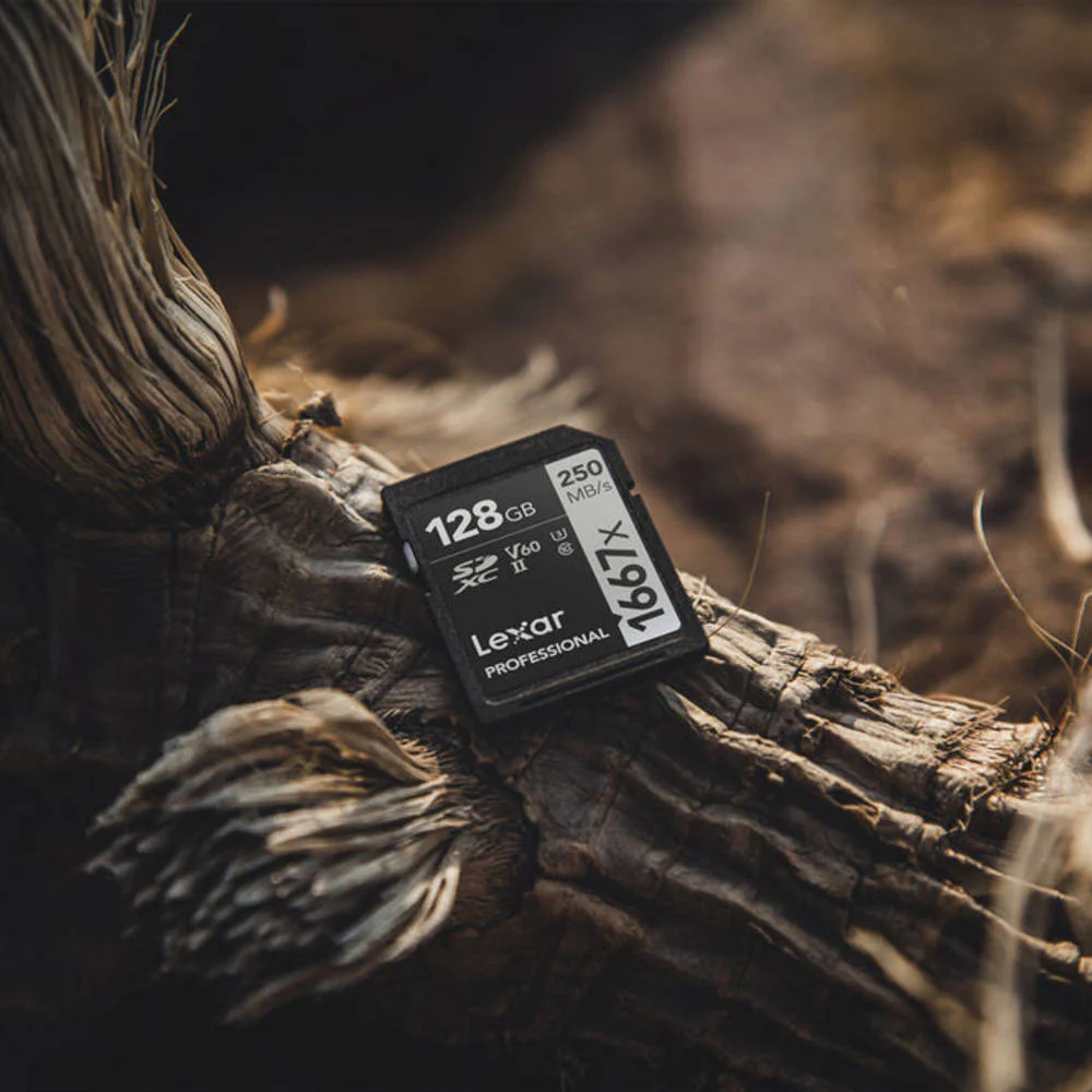 Lexar 128GB Professional 1667x SDXC UHS-II Memory Card - Image 4